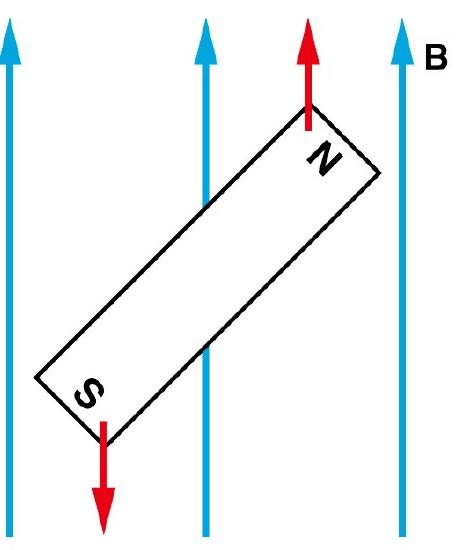 A graphic of a magnet in a magnetic field